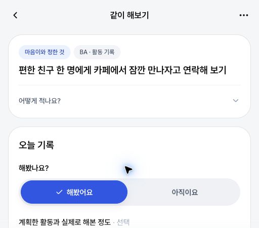 Korean Maeumi activity record showing an agreed action and Tried it / Not yet choices